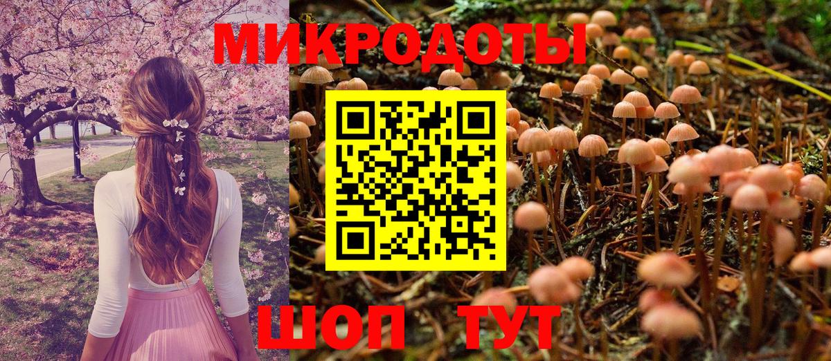 Галлюциногенные грибы прущие грибы Ипатово