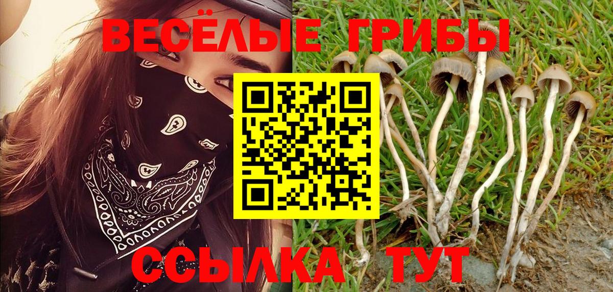 Ипатово  Псилоцибиновые грибы ЛСД  Галлюциногенные грибы Psilocybe  Вход с VPN 